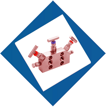 Instrumentation Manifold Valves