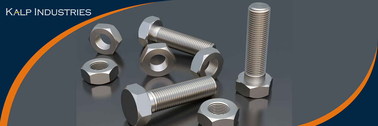 SS 310 Fasteners